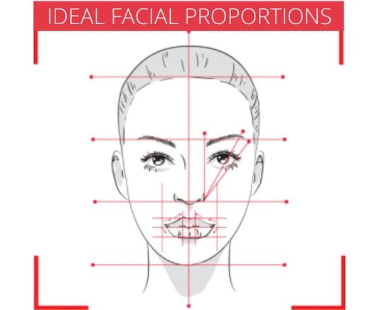 Face Shapes and Ideal Proportions - Makeup Fundamentals